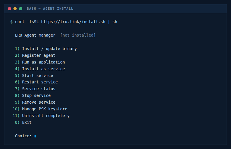 The install.sh interactive menu in a terminal