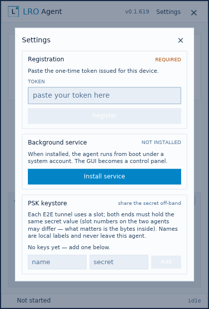 The LRO desktop GUI showing the registration field and an install-service button