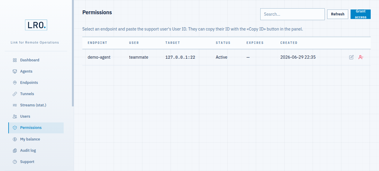 Permissions list showing an active grant for one endpoint